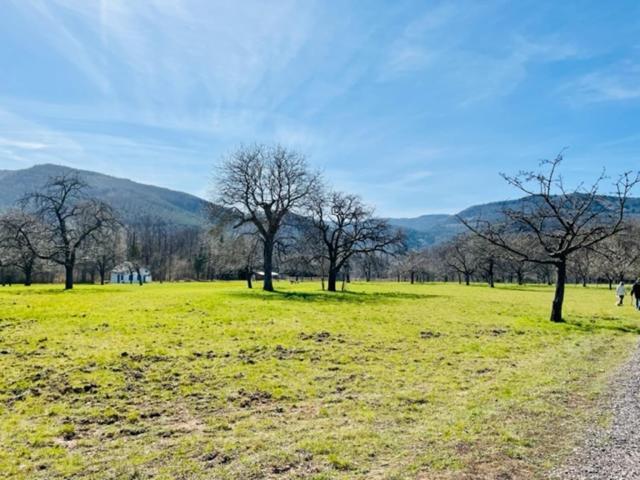 Le Cottage Pres Obernai Klingenthal المظهر الخارجي الصورة